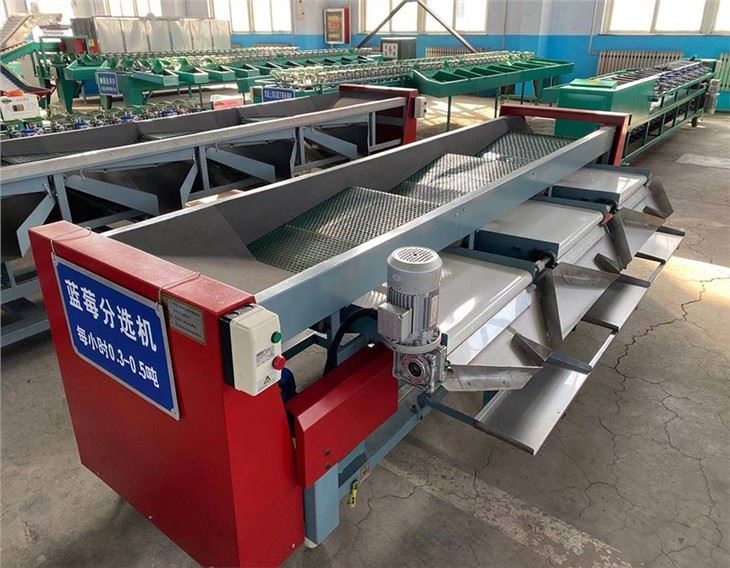 Cherry Grading Machine