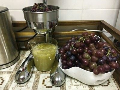 Grape Juice Making Machine