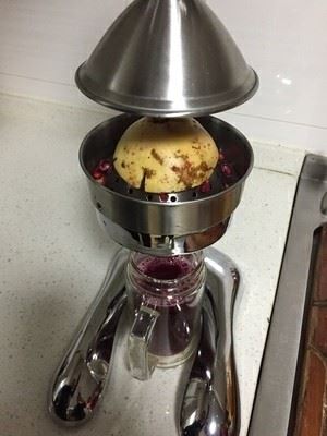 Grape Juice Making Machine