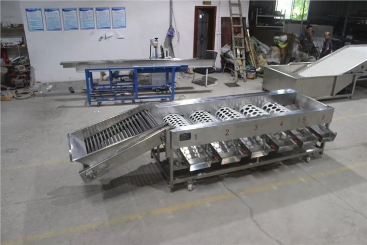 Passion Fruit Sorting Machine