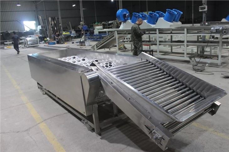 Passion Fruit Sorting Machine