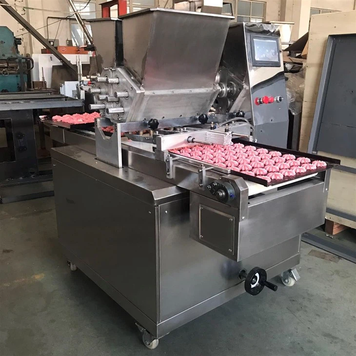 Double Color Cookie Machine factory
