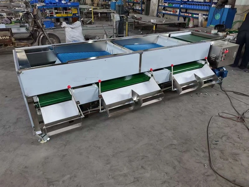 Wholesale Berry Grading Machine 13 Wholesale Berry Grading Machine 13