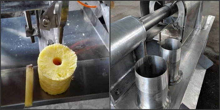 Pineapple Peeler and Corer Machine Pineapple Peeler and Corer Machine