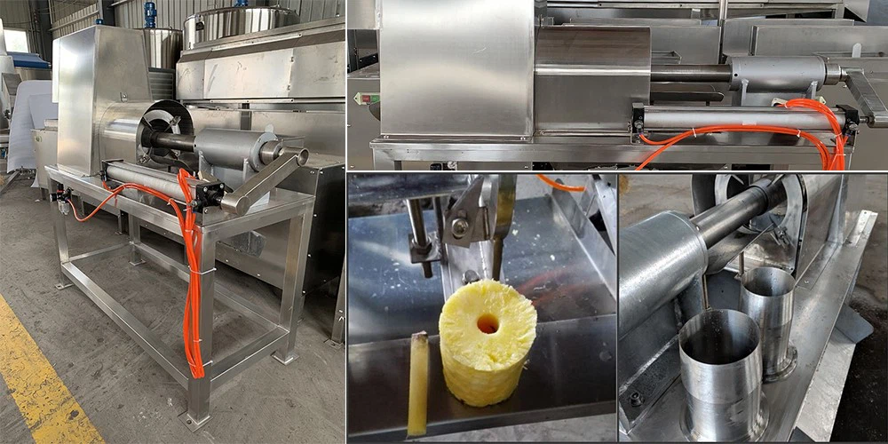 Pineapple Peeler and Corer Machine 5 Pineapple Peeler and Corer Machine 5