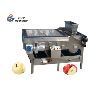 ماكينة عصر الفواكه بالحزام