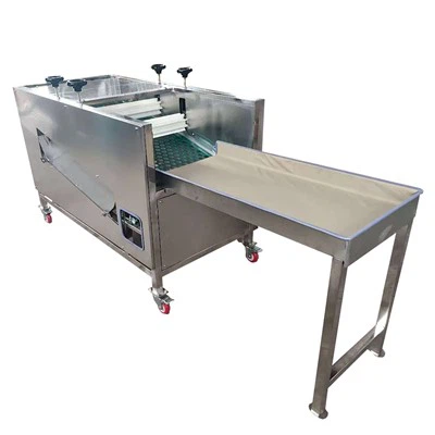 آلة قطع فطر شيتاكي