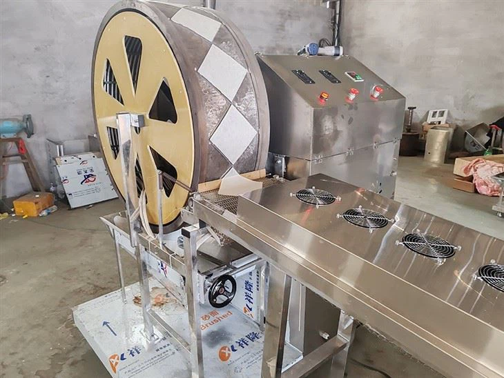 Spring Roll Machine factory